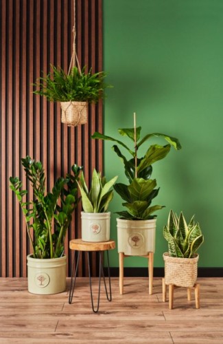 62e0b56abdd29e926a7f4204c5bfaf3e