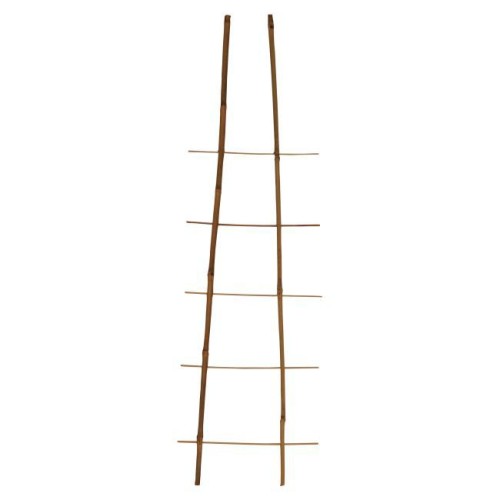 14a470c442a3ecdd3ced6b530cbd6c87