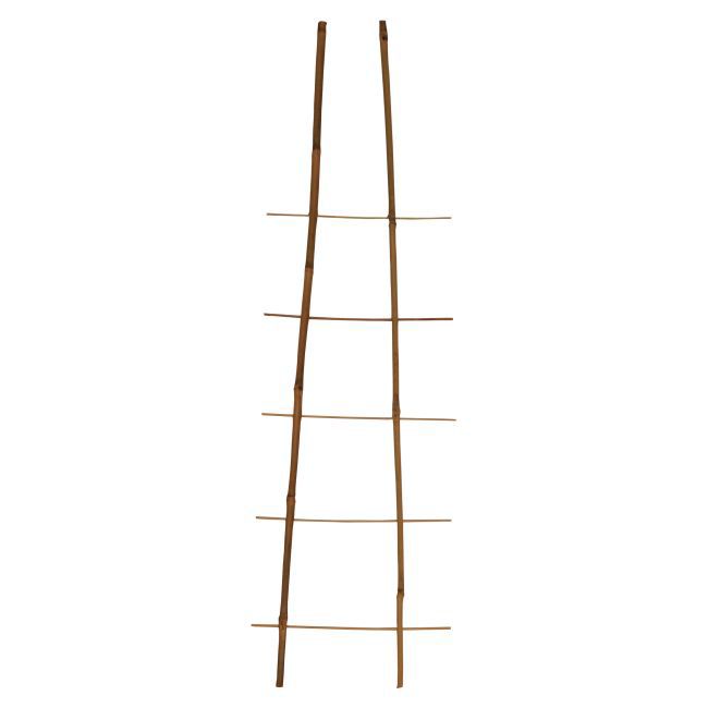 14a470c442a3ecdd3ced6b530cbd6c87