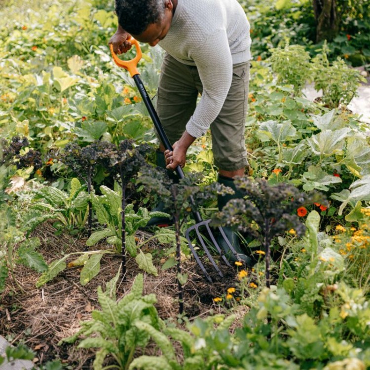 fde402c613887a1da45612b3b6ee38fa