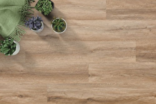 66c39068f599b5b8aa1ff82e79644d0b