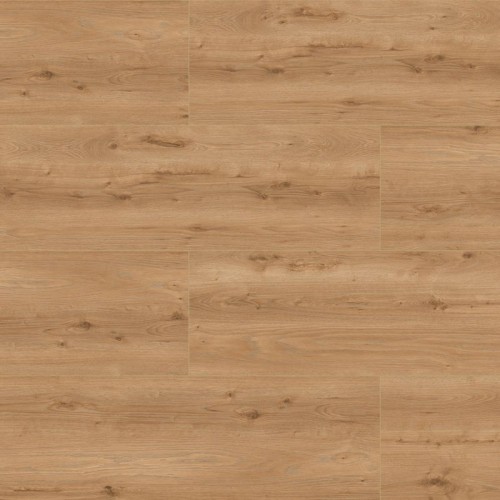 18ecde5b63a83c73b913c4b0145210cd