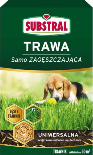 f988e352707a26e63da4d1430dea07f2
