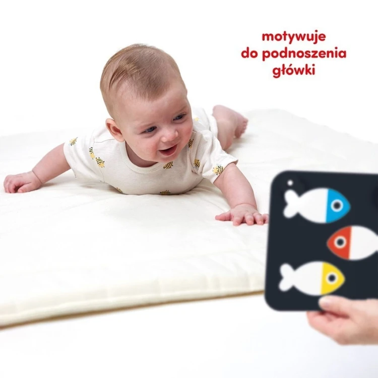 b04553e38cccad92798668d983e880ad