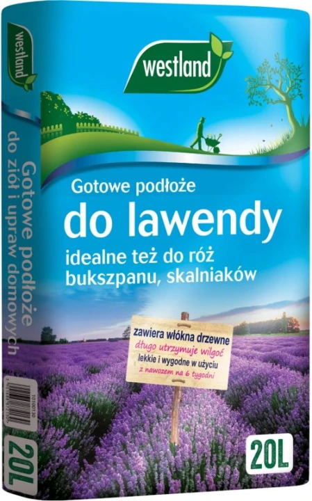 016dffeae1d43946de731909ddffa1df