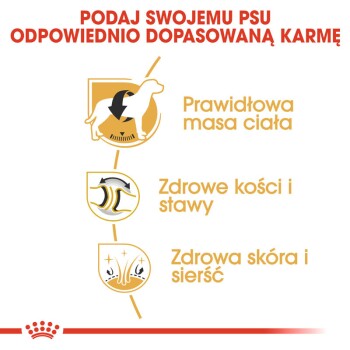 a4214eec85492ac1a5e3a71a71c3aa28