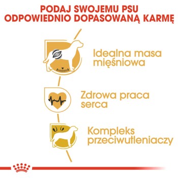 6683cb509aaa8f2eae7eab4e74862089