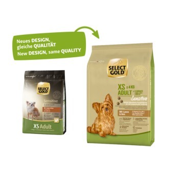 81dc86ed00e94e45a1faa8ead21a38da