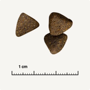 cb3cac9680c9a15d72bf5c1b70d58528