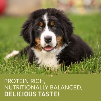 dcb6a88e8b78657b644aab064b1fa832