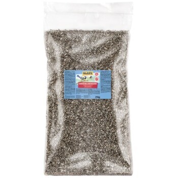 d4212861b7d375172ed449b8d1b68360