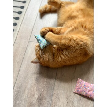 a2c0f8da54a2863b951e7e549c961c31