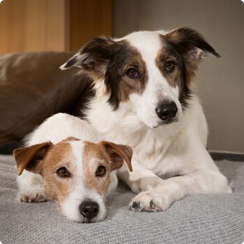 665484422d08943a676efc8a2ef0ad68