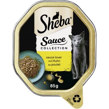 d5e5bad558553c7a749111cc5614e903