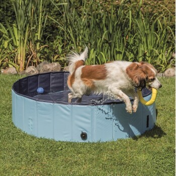 4db929071c9e148c1da8f63b6a4de42c