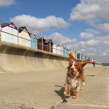 b57987ab6c298b4206110d757196dfb2