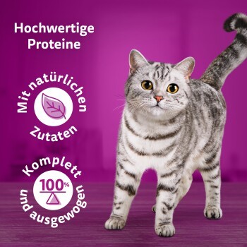 72753b76f58fe8f1a9231329aa7ebee0