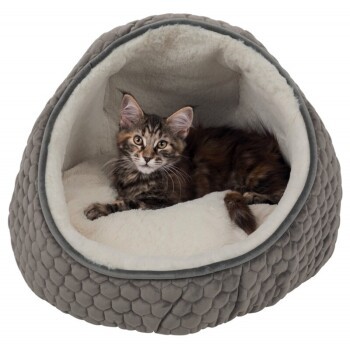 4f635e53c1792da1c2ec616738c59815