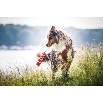 3e0161667f2a49811824c7ac2bb96706