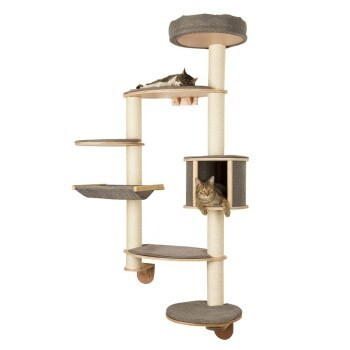 2c1c5adf68cd6d8c66fdc30c2aff554f