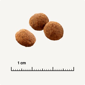 2e3798999ae628d20ba40c3ff23b319b