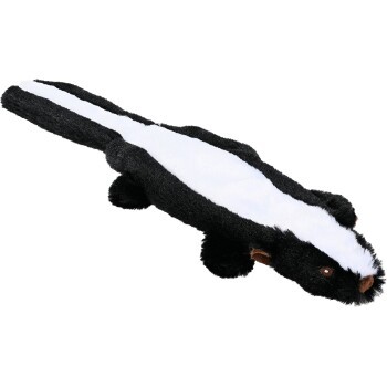 57d8a8a238c28dec9284184eae604dc2