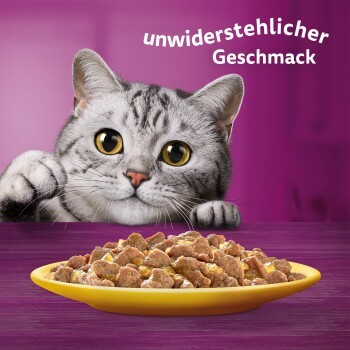 058d6322e98169f5f6b9cd02c3f50bea