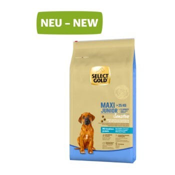 95a16857330799bf4c597e80c542ffdc