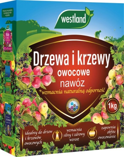 650efa5d5638d0d5c4a99d7ccddeba48