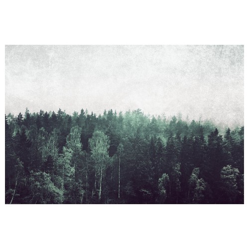 9e8bf700ff189093b27973d609e5ba57