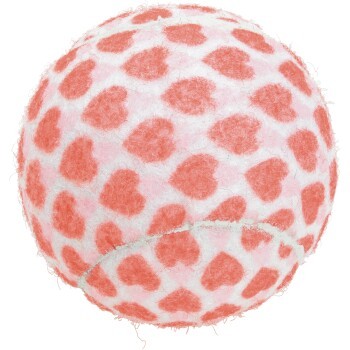 8f2aa07a9f0fda48746db1930e104ee6