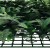 7abc51c5c1ca1506c39baa782a841d05