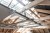 e354a03dab20158b77a5e8bcc0d01fec