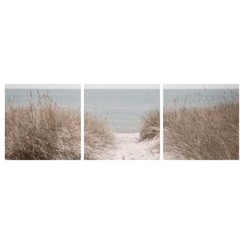 6e3bc147c6a59ae1e9eac31460f68653