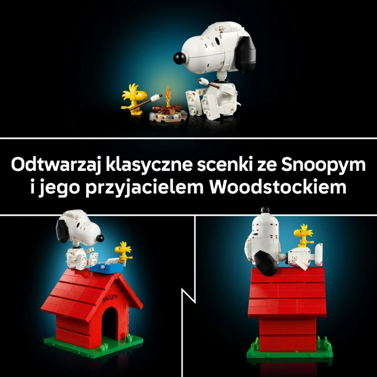 7c6edcfedc90acac7ebebc5fcca488e5