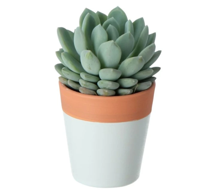 ea14372ecd2773de9e00c0e9b4e29a2d
