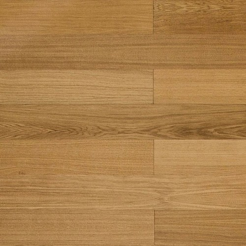 b01e867f73185b164dd7a12dbcc7e536