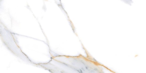 f88d801a56971a7a85336d1b10f09f39