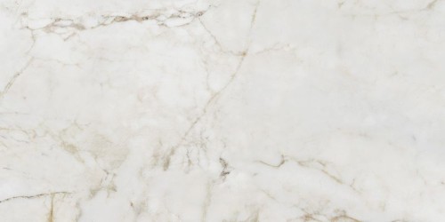 6fef593afb5464eaa6c3d00271aa4813