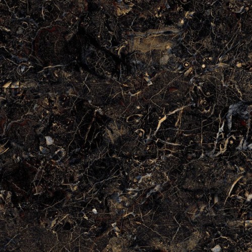 dcd7f2ae3d3b1ee4af25df1ac98de54f